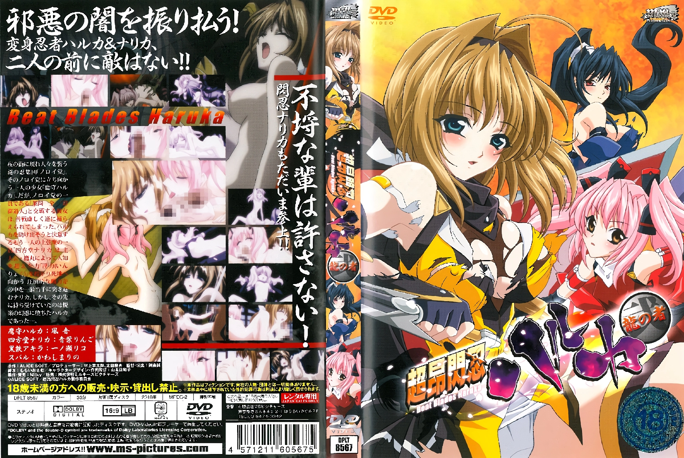 youporn国产在线观看-普通话磁力搜索